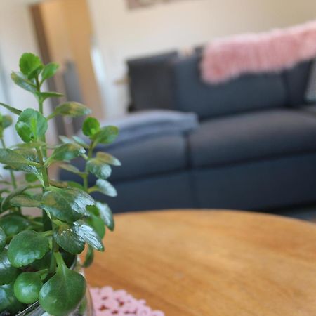 Ferienhaus Seehuis, Sauna, Angeln, Familienfreundlich Twist Екстериор снимка