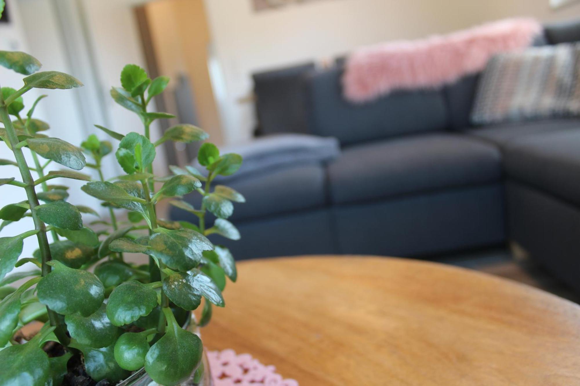 Ferienhaus Seehuis, Sauna, Angeln, Familienfreundlich Twist Екстериор снимка